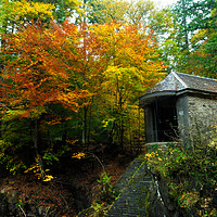 Buy canvas prints of Ossian’s Hall at the Hermitage in autumn by Angus McComiskey