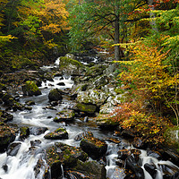 Buy canvas prints of River Braan in autumn by Angus McComiskey