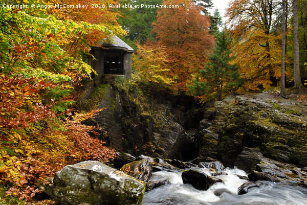 Ossian’s Hall and Black Linn Waterfall in autumn Picture Board by Angus McComiskey