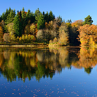Buy canvas prints of Penicuik Pond autumn colours by Angus McComiskey