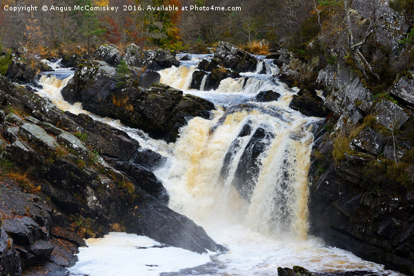 Rogie Falls in autumn Picture Board by Angus McComiskey