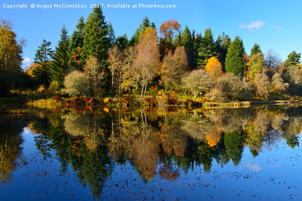 Autumn reflections Penicuik Pond Picture Board by Angus McComiskey