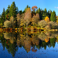 Buy canvas prints of Autumn reflections Penicuik Pond by Angus McComiskey