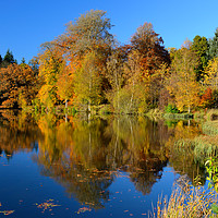 Buy canvas prints of Penicuik Pond autumn reflections by Angus McComiskey