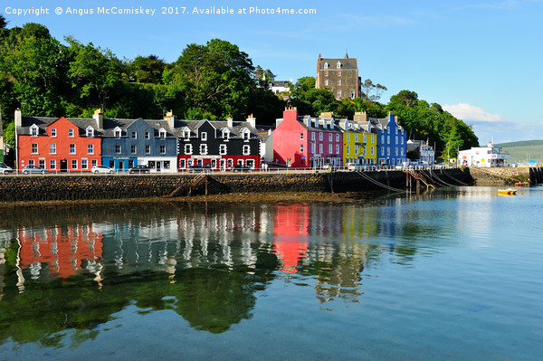 Tobermory waterfront, Isle of Mull Picture Board by Angus McComiskey