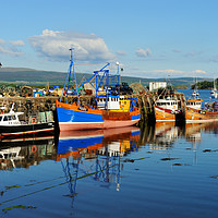 Buy canvas prints of Fishing boats in Tobermory harbour by Angus McComiskey