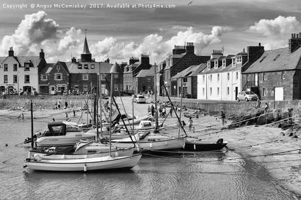 Stonehaven harbour (mono) Picture Board by Angus McComiskey