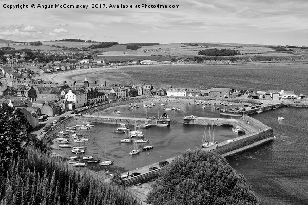 View across Stonehaven Harbour mono Picture Board by Angus McComiskey