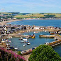 Buy canvas prints of View across Stonehaven Harbour by Angus McComiskey