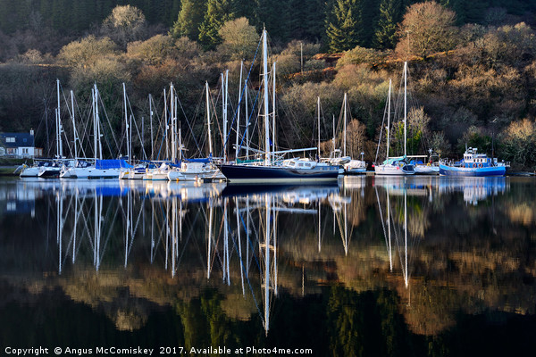 Winter yacht haven on the Crinan Canal Picture Board by Angus McComiskey