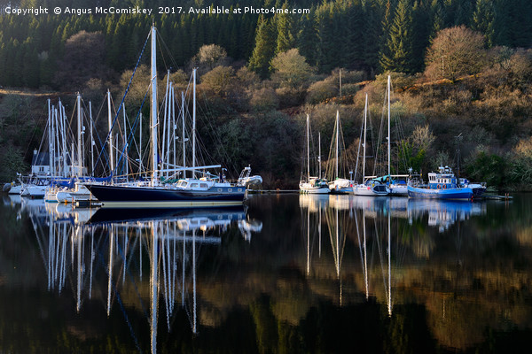 Crinan Canal yachts Picture Board by Angus McComiskey