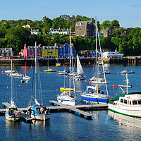 Buy canvas prints of View across yacht marina to Tobermory by Angus McComiskey