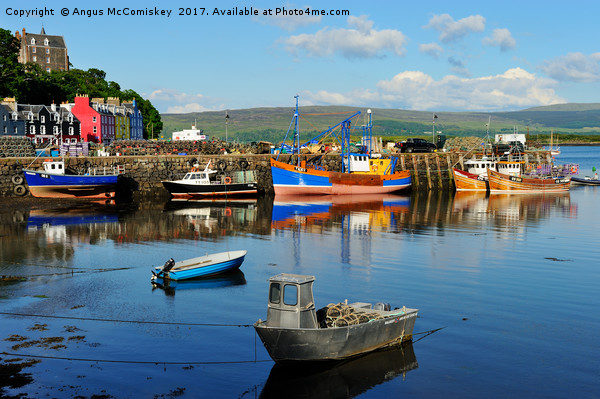 Colourful boats in Tobermory harbour  Picture Board by Angus McComiskey