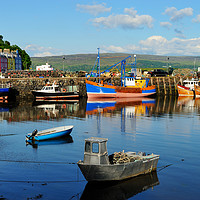 Buy canvas prints of Colourful boats in Tobermory harbour  by Angus McComiskey