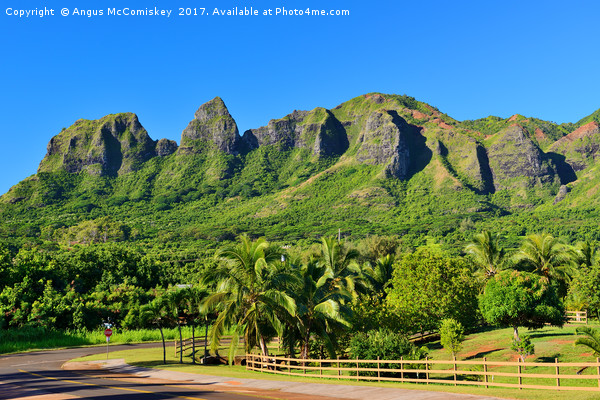 Kalalea Mountains Hawaii Picture Board by Angus McComiskey