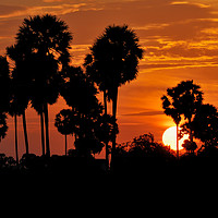 Buy canvas prints of Cambodian sunset by Angus McComiskey