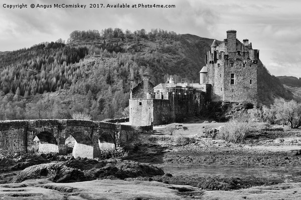 Eilean Donan Castle (mono) Picture Board by Angus McComiskey