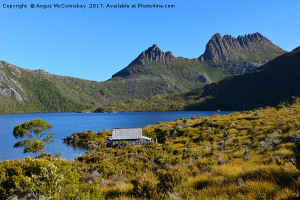 Dove Lake in Cradle Mountain National Park Picture Board by Angus McComiskey