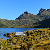 Buy canvas prints of Dove Lake in Cradle Mountain National Park by Angus McComiskey