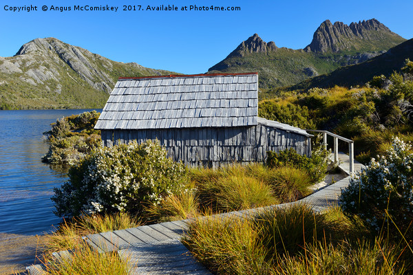 Boat shed on Dove Lake Picture Board by Angus McComiskey