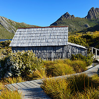 Buy canvas prints of Boat shed on Dove Lake by Angus McComiskey