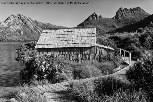 Boat shed on Dove Lake (mono) Picture Board by Angus McComiskey