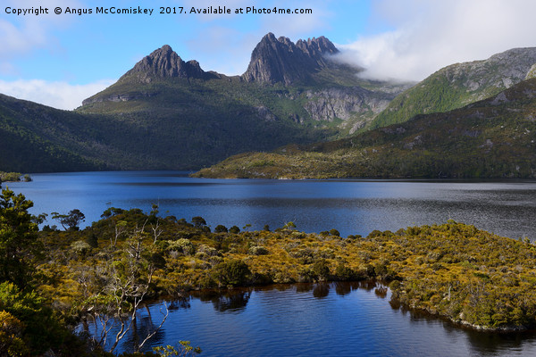 View across Dove Lake to Cradle Mountain Picture Board by Angus McComiskey