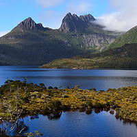 Buy canvas prints of View across Dove Lake to Cradle Mountain by Angus McComiskey