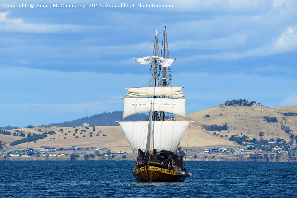 Tall ship approaching Hobart harbour Tasmania Picture Board by Angus McComiskey