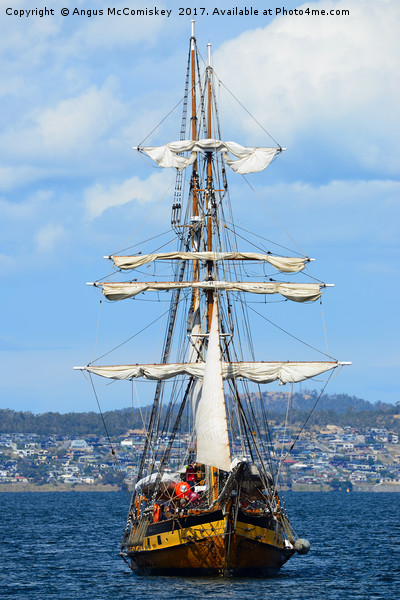 Tall ship approaching Hobart harbour Tasmania Picture Board by Angus McComiskey