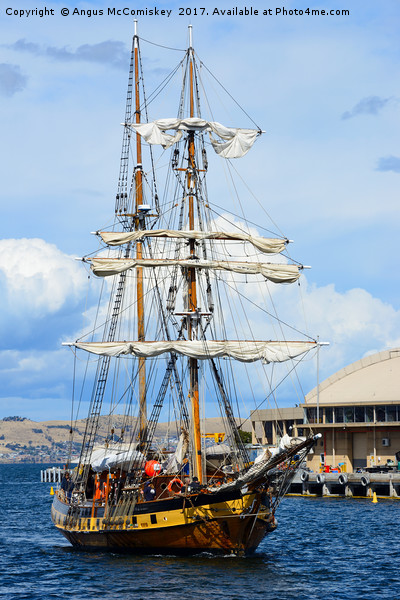 Tall ship arriving at Hobart harbour Tasmania Picture Board by Angus McComiskey