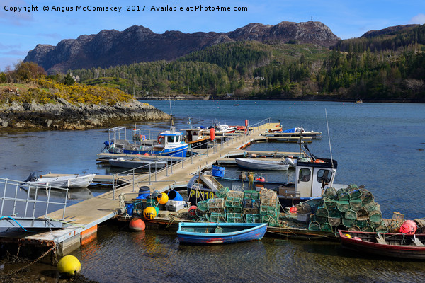 Fishing boats in Plockton harbour Picture Board by Angus McComiskey