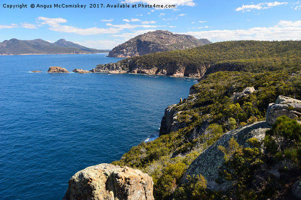Cape Tourville looking towards Wineglass Bay Picture Board by Angus McComiskey