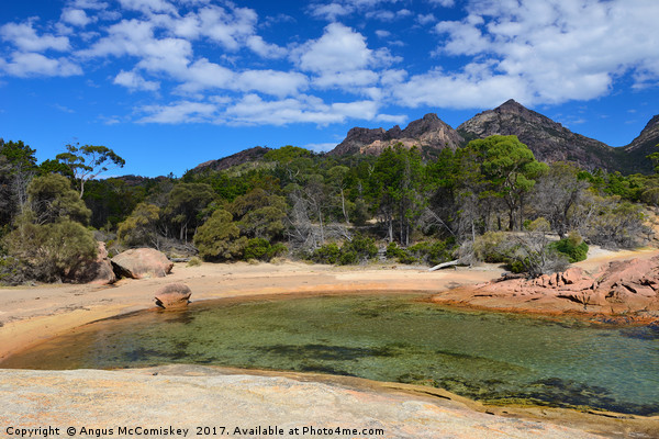 Honeymoon Bay, Freycinet National Park, Tasmania Picture Board by Angus McComiskey
