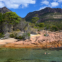 Buy canvas prints of Swimmer in Honeymoon Bay, Freycinet National Park by Angus McComiskey