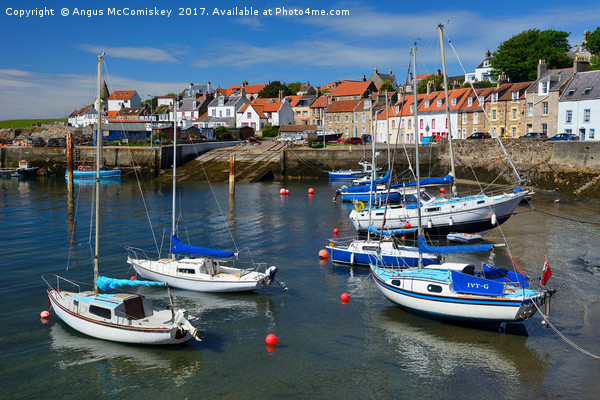 Yachts at anchor in St Monans harbour Picture Board by Angus McComiskey
