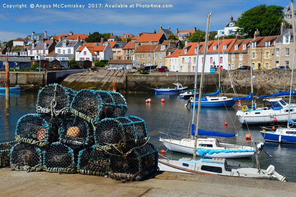 Lobster pots on quayside at St Monans Picture Board by Angus McComiskey