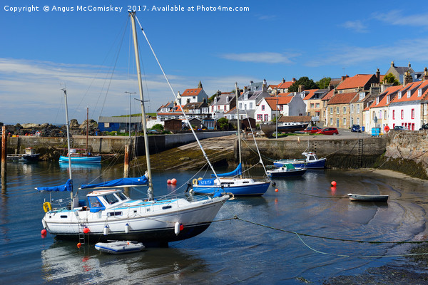 St Monans harbour Picture Board by Angus McComiskey