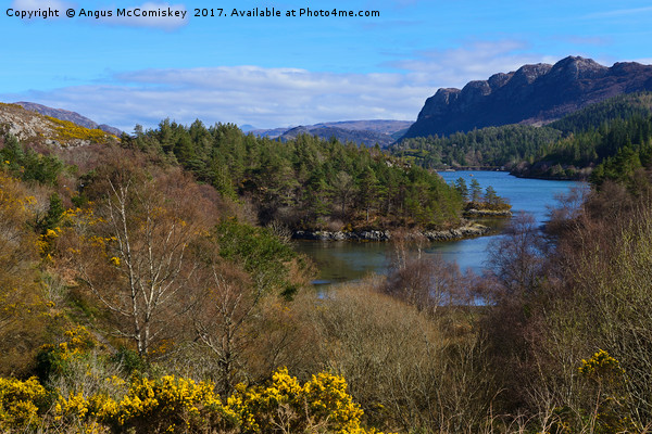 Looking down on Loch Carron from Plockton village Picture Board by Angus McComiskey