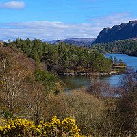 Buy canvas prints of Looking down on Loch Carron from Plockton village by Angus McComiskey