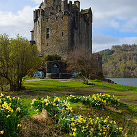 Buy canvas prints of Spring at Eilean Donan Castle by Angus McComiskey