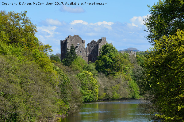 Doune Castle on the River Teith Picture Board by Angus McComiskey