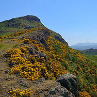 Buy canvas prints of The ascent up Whinny Hill to Arthur's Seat by Angus McComiskey