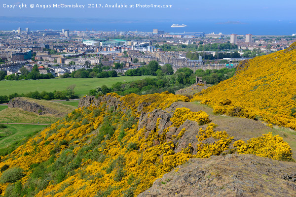 The descent from Arthur's Seat via Whinny Hill Picture Board by Angus McComiskey