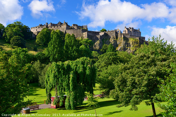 Edinburgh Castle and Princes Street Gardens Picture Board by Angus McComiskey