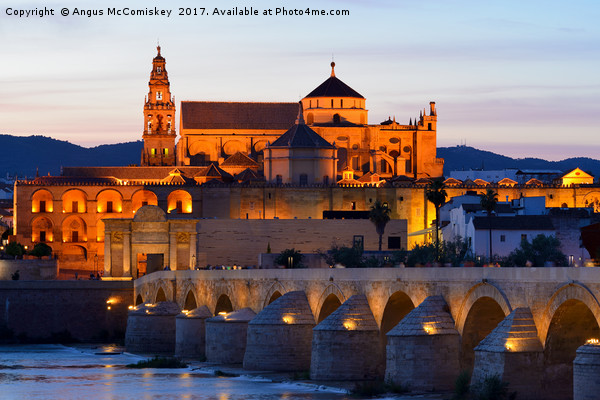 Cordoba Cathedral and Roman Bridge at dusk Picture Board by Angus McComiskey