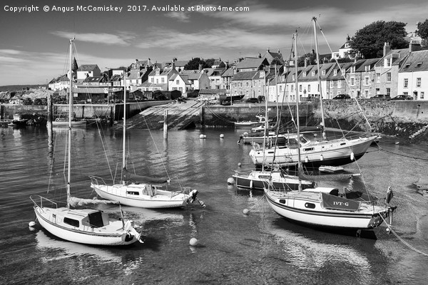 Yachts at anchor in St Monans harbour (mono) Picture Board by Angus McComiskey