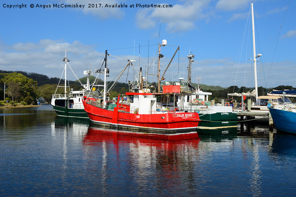 Fishing boats in Strahan harbour, Tasmania Picture Board by Angus McComiskey
