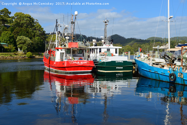 Fishing boat reflections Strahan harbour Tasmania Picture Board by Angus McComiskey
