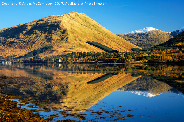 Autumn reflections on Loch Long Picture Board by Angus McComiskey